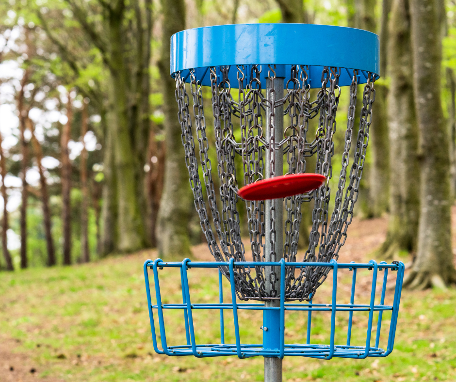 Disc Golf going into disc golf hole