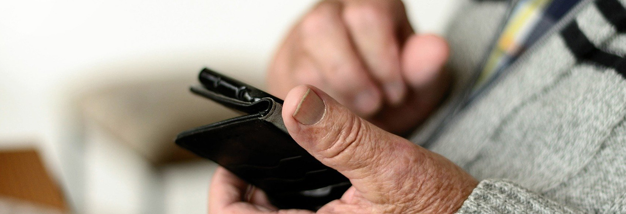 person holding cell phone